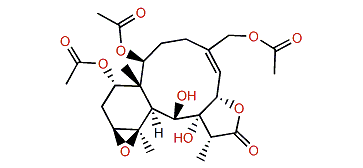 16-Acetoxymilolide B